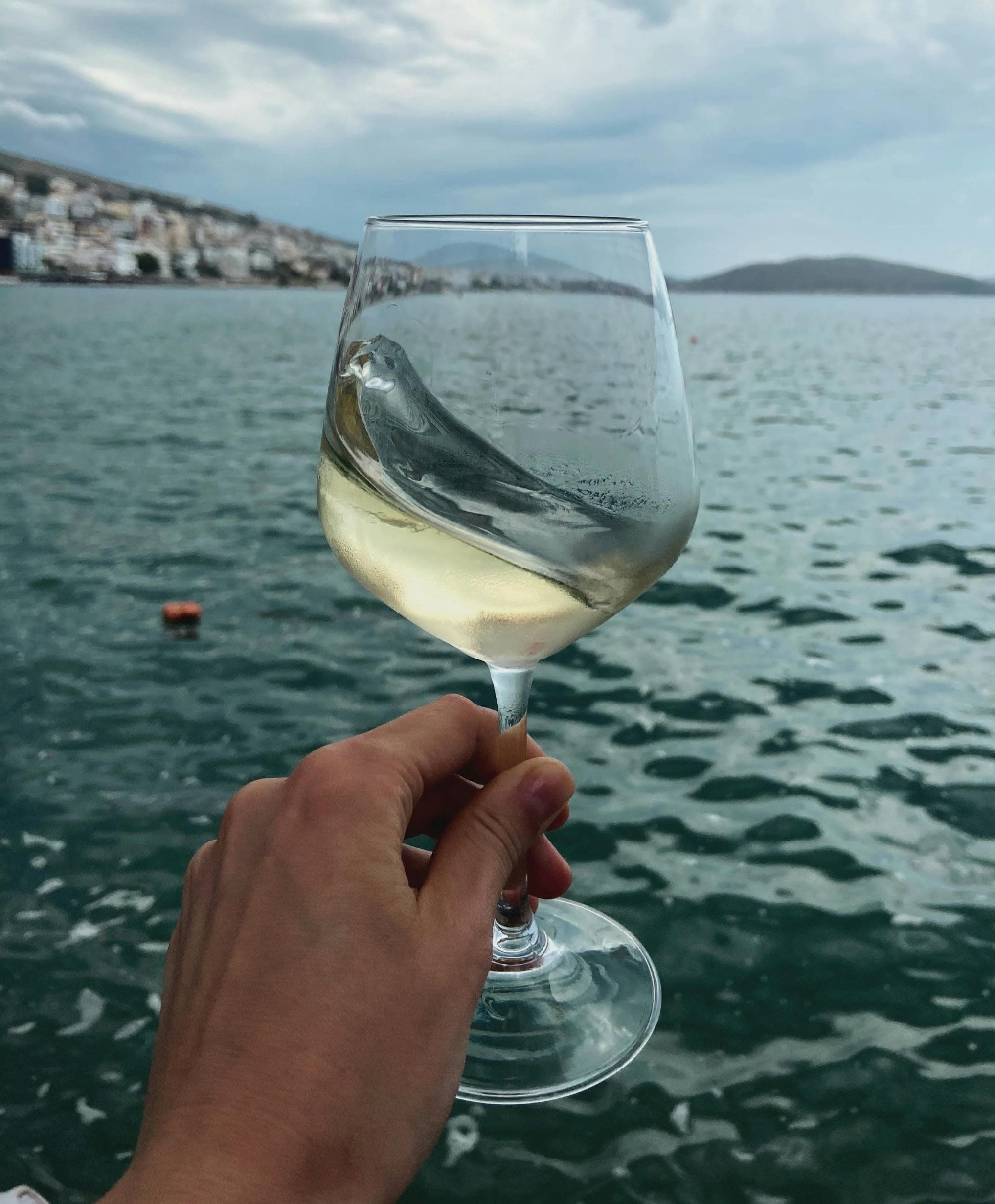 Family-vineyard wines